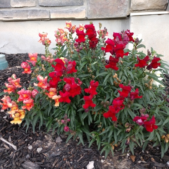 Meet your Posher, Shannon - Picture 1 of 1